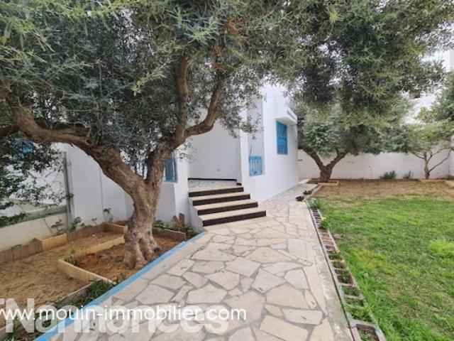 Appartement vente