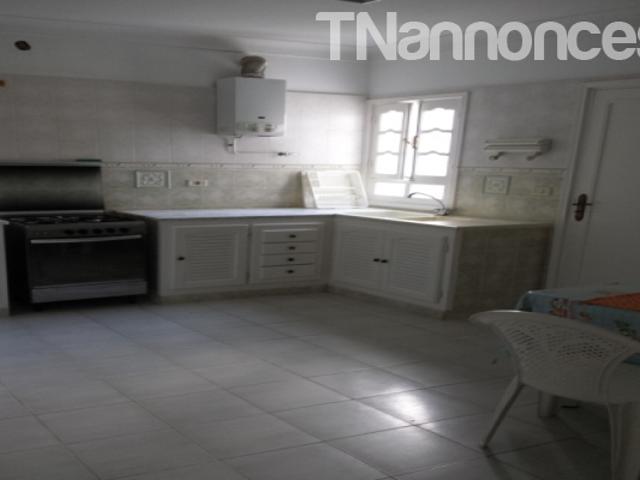Appartement vente