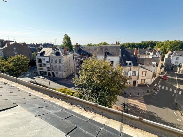 Appartement vente à L' Île Arrault, Orléans