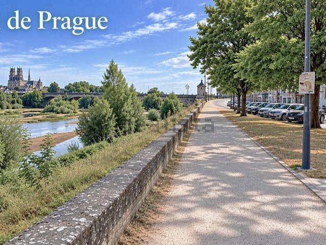 Appartement vente à Clos Pré Renault, Orléans