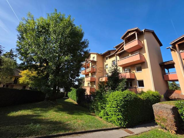 Appartement location à Oyonnax