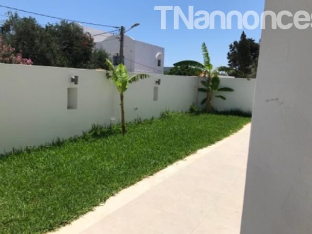 Appartement vente