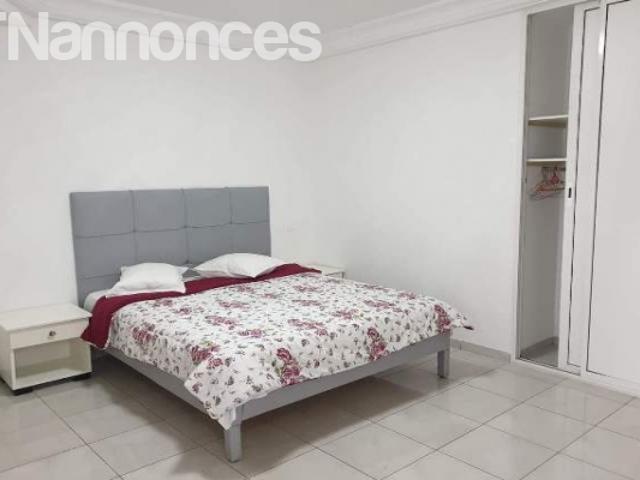 Appartement location