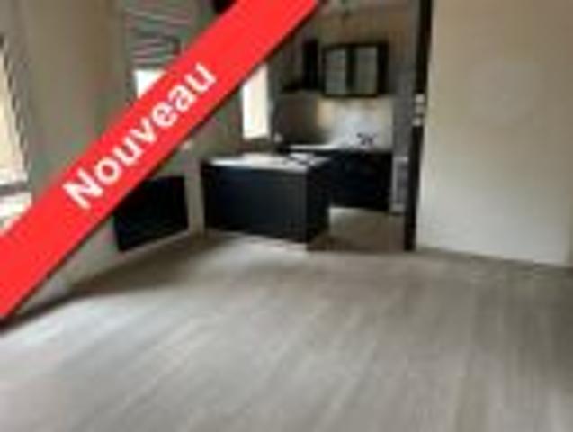 Appartement location à Yssingeaux, Monistrol-sur-loire