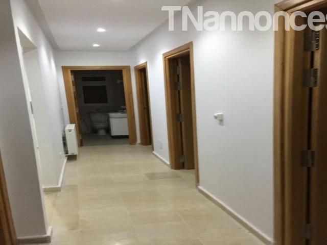 Appartement location