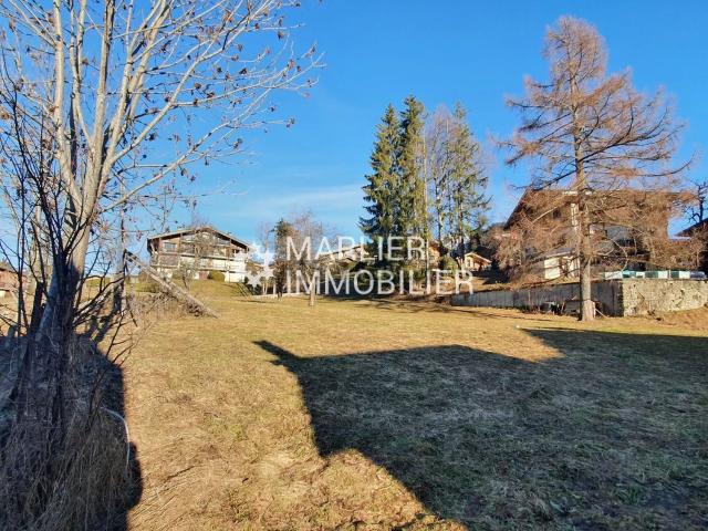 Appartement vente à Le Chenaz, Praz-sur-Arly