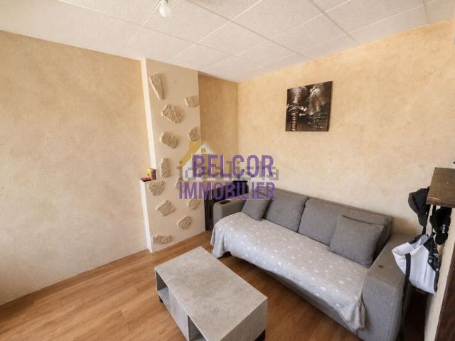 Appartement vente à Puiseaux, Loiret