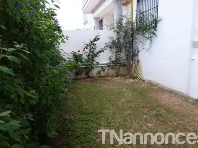 Appartement vente
