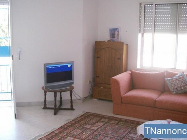 Appartement location