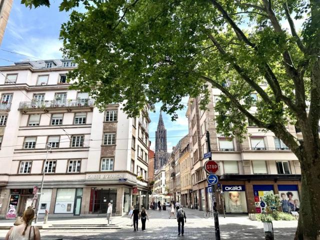 Appartement location à Strasbourg, Hoenheim