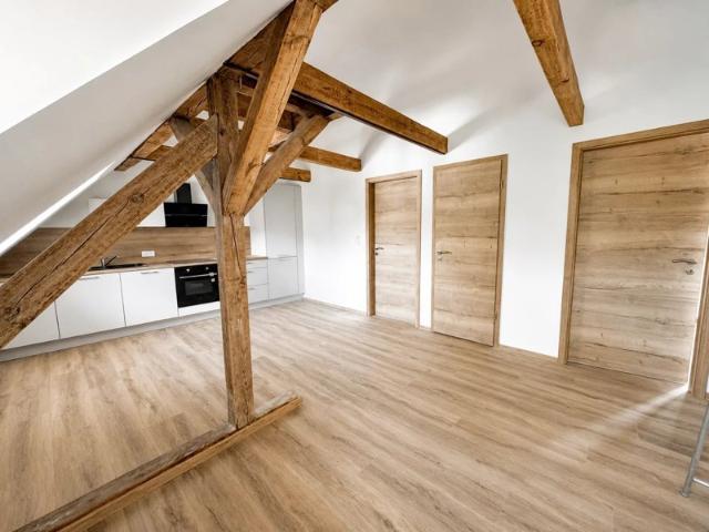 Appartement location à Haguenau-Wissembourg, Haguenau