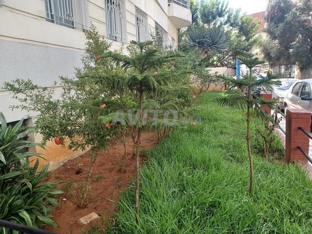 Bureau vente à Anfa, Dar Sultan
