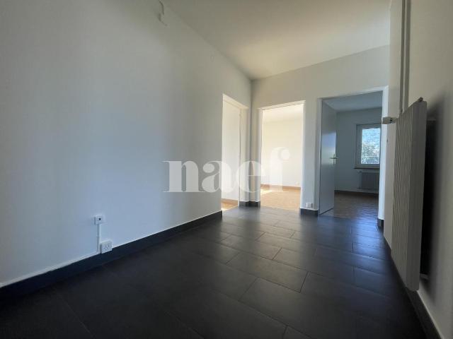Apartment mieten in La Tène