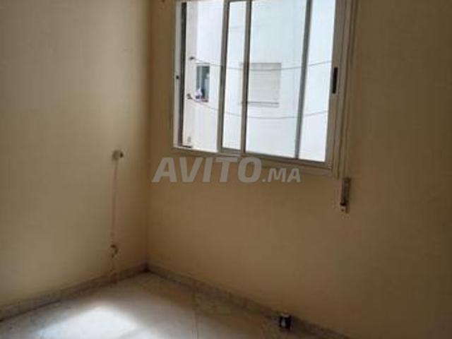 Appartement location