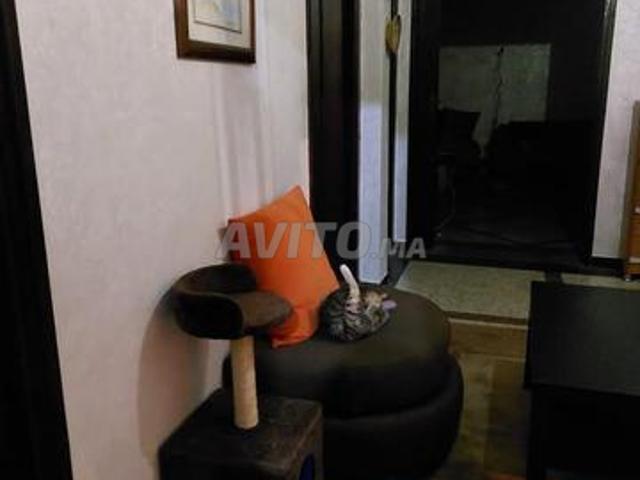 Appartement location à Centre Ville