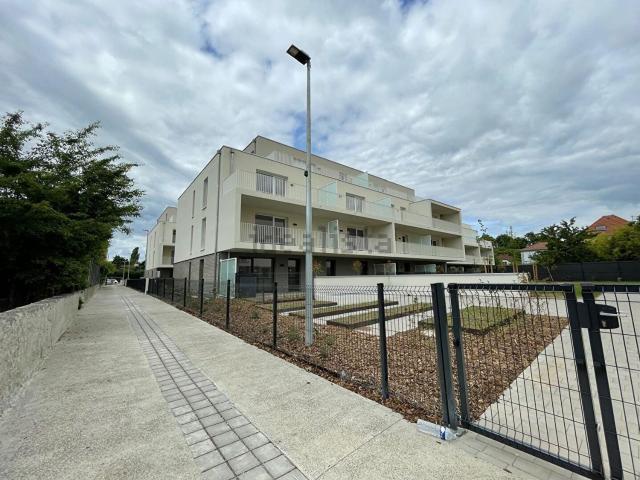 Appartement location à Riedisheim, Collectivité européenne d'Alsace