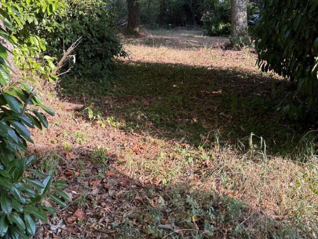 Appartement vente à Crépieux-la-Pape, Rillieux-la-Pape
