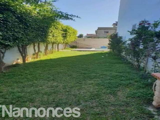 Appartement vente