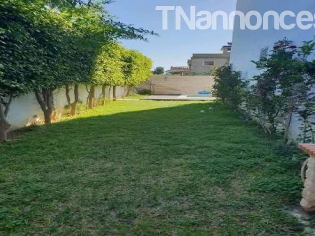 Appartement location
