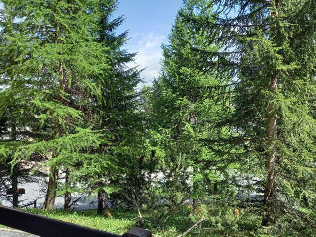 Appartement vente à Briançon, Ceillac