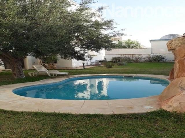 Appartement vente
