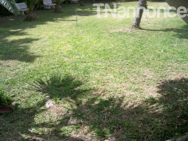 Appartement vente
