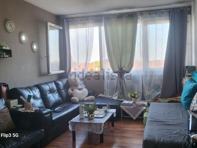 Appartement vente à Anseele Motte-Bossut, Roubaix