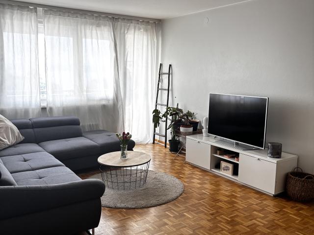 Apartment mieten in La Tène
