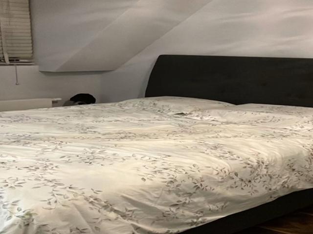 Appartement te huur in Hillegersberg-Schiebroek, Rotterdam