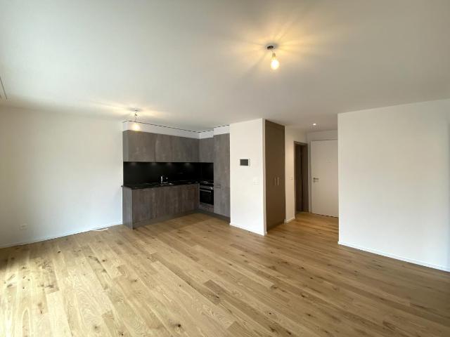 Apartment mieten in Lugnorre, Freiburg