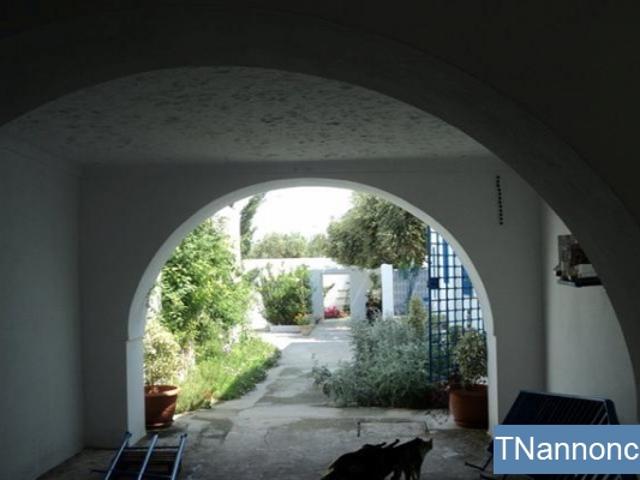 Appartement location