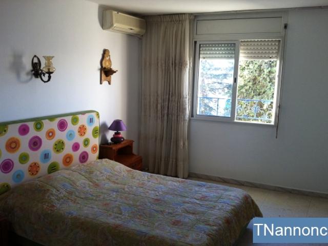 Appartement location