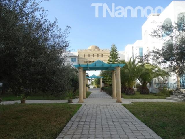 Appartement vente
