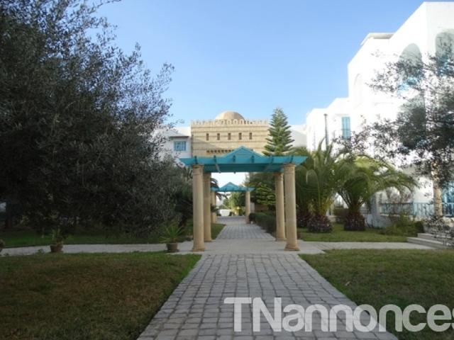 Appartement vente