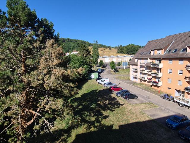 Appartement vente à Forbach-Boulay-Moselle, Saint-avold