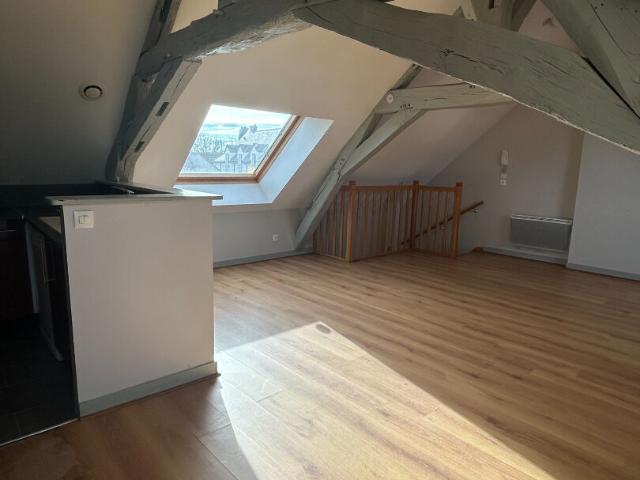 Appartement location à Orléans, Saint-benoît-sur-loire