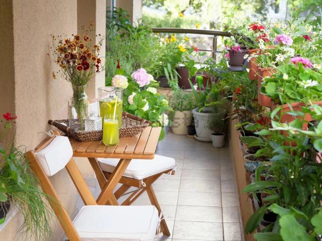 Appartement vente à Résidence Boucles de Seine, Saint-Cloud
