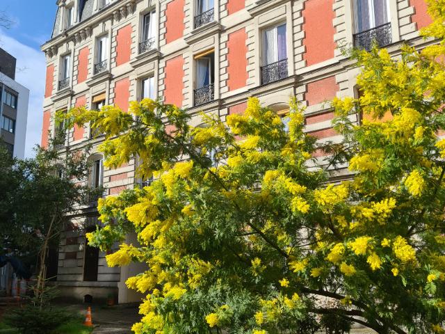 Appartement location à Saint-Denis, Saint-denis