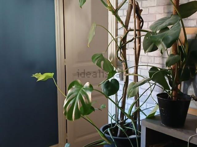 Appartement location à Saint-Jean-d'Angély, Charente-Maritime
