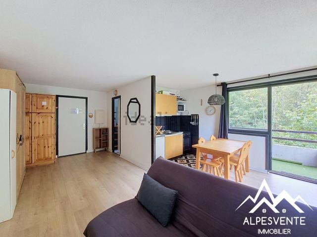 Appartement vente à La Grande Terche, Saint-Jean-d'Aulps