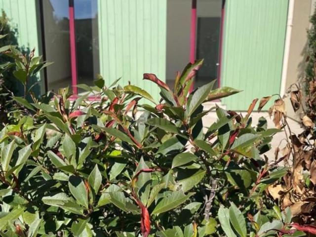 Appartement vente à La Livaudais, Saint-Jouan-des-Guérets