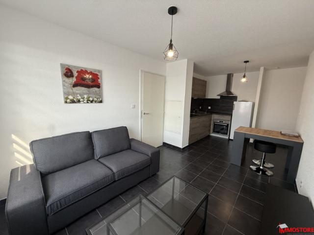 Appartement location à Sarrebourg-Château-Salins, Saint-louis