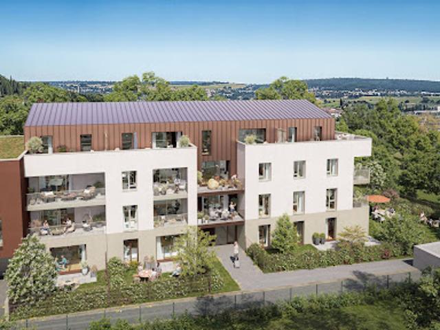Appartement vente à Nancy, Saint-max