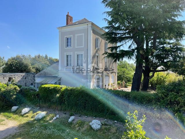 Appartement location à Le Moulin Carré, Sainte-Gemmes-sur-Loire