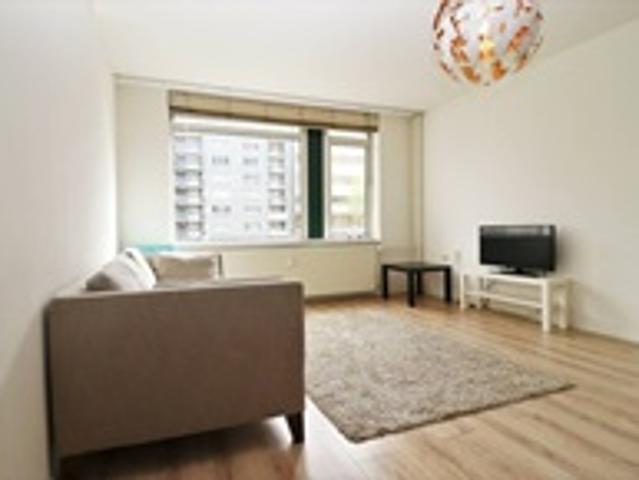 Appartement te huur in Rotterdam, Zuid Holland