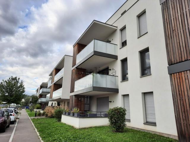 Appartement vente à Monenberg, Sierentz