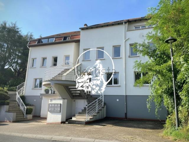 Appartement vente à Spicheren