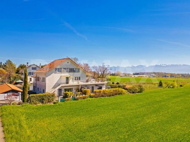 Wohnung kaufen in Bursins, District de Nyon