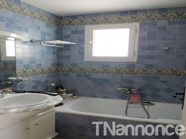 Appartement vente