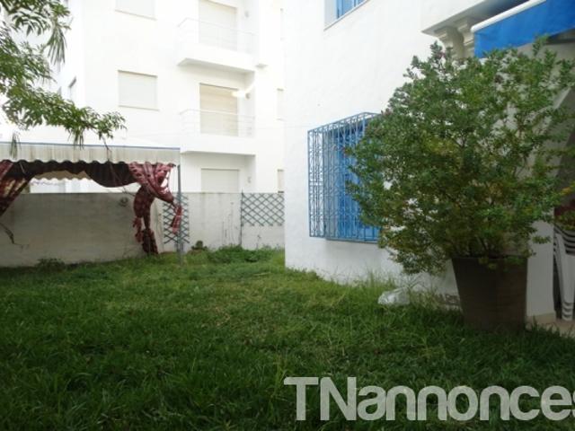 Appartement vente
